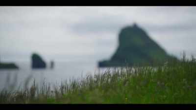 Halfway between Scotland and Iceland - The History of Home Narrated by Nick Offerman