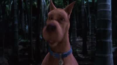 Hamburgers. - Scooby Doo