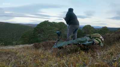 Hamza climbs
to a good vantage point, - Wild Isles