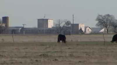 Hancock:
Koresh preached increasingly - Oklahoma City