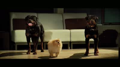 Hang in there kittenI'll get help - Blade: Trinity