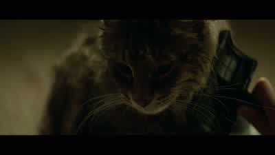 Hang on, church, there's something... - Pet Sematary