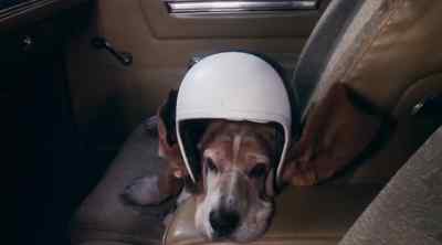 Hang on, Flash. This landing's
going to be a doozy. - The Dukes of Hazzard