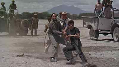Hang on to him! - Hatari!