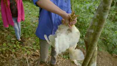 Hanging a chicken upside
down ensures that it's - Restaurants at the End of the World