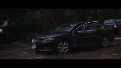 Hank Pym, Hope van Dyne, you're under arrest. - Ant Man and the Wasp
