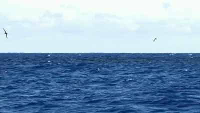 [hank speaking] - Deadliest Catch: Bloodline
