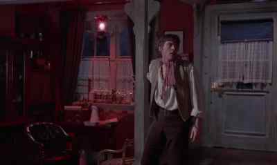 Hans, is that you? - Frankenstein Created Woman