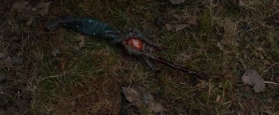 HANSEL Revenge doesn't change the past - Hansel & Gretel: Witch Hunters