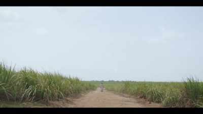 Happen all the time in them days. - The Long Song