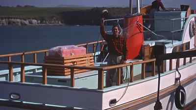 - Happy honeymoon.
- Thank you. - A Summer Place