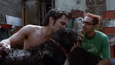 ¿Harás que pelee? - Amores Perros