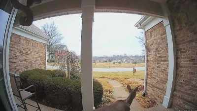 [ Hard rock music playing ] - Neighborhood Wars