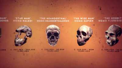 Hare: 50,000 YEARS AGO,
THERE WERE OTHER HUMANS! - Why We Hate