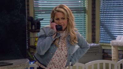 Harmon-Fuller Pet Care. Janet speaking. - Fuller House