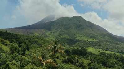 HARRIES: The place was like that.
It made you intense. - Under the Volcano