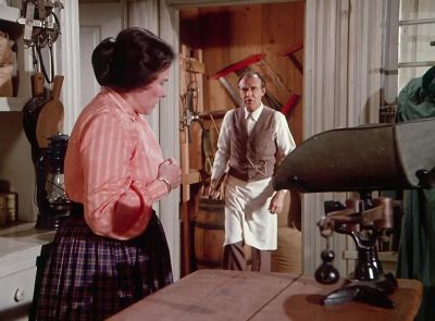Harriet for heaven's sake - Little House on the Prairie