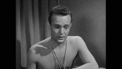 HARRINGTON:
Being homosexual was believed - Mysteries of Mental Illness