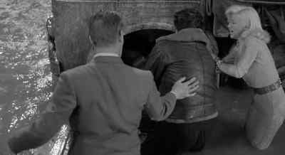 Harry. Are you alright? - The Long Haul