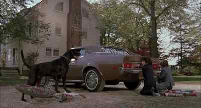 Harry, be quiet! - The Amityville Horror