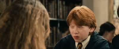 Harry, do you think this mirror shows the future? - Harry Potter and the Philosopher's Stone