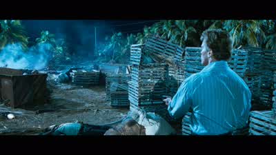 Harry! Drop the gun! - True Lies