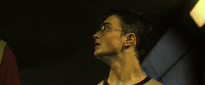 HARRY: Dudley, run. - Harry Potter and the Order of the Phoenix