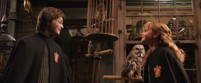 Harry. Hagrid. - Harry Potter and the Chamber of Secrets