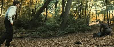 Harry. Harry, quickly, in my bag. - Harry Potter and the Deathly Hallows: Part 1
