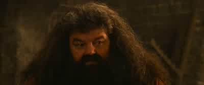 Harry! Harry! Happy birthday. - Harry Potter and the Philosopher's Stone