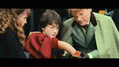 HARRY:How long will it take to make? - Harry Potter and the Chamber of Secrets