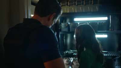 Harry, I'm just trying to make sure
that you have everything - True Lies