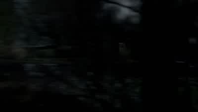 HARRY: It's okay. - Supernatural