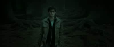 Harry? No! What are you doing here? Quiet! - Harry Potter and the Deathly Hallows: Part 2