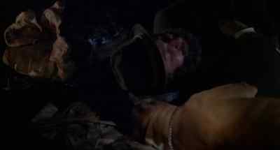 Harry, pooch! Wake up! - Invasion of the Body Snatchers