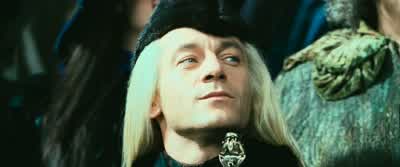 Harry Potter has caught the Snitch.Gryffindor wins! - Harry Potter and the Chamber of Secrets