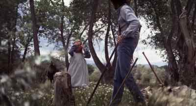 Harry! - The Hired Hand