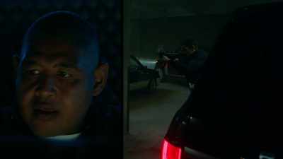 Harry, "Surrender or I'll shoot" - True Lies