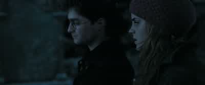 Harry, there's someone watching us. - Harry Potter and the Deathly Hallows: Part 1
