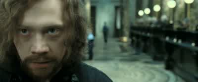 Harry? What do we do, Harry? - Harry Potter and the Deathly Hallows: Part 2