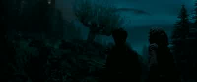 HARRY: You see Sirius talking to me there? - Harry Potter and the Prisoner of Azkaban