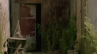 They'd spotted us before we crossed the forest. - True Detective