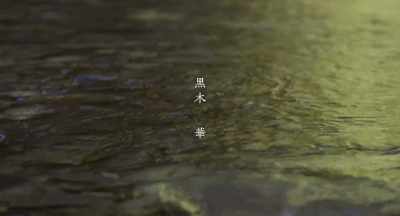 Haru Kuroki - Every Day a Good Day