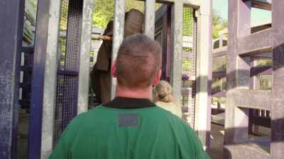 ...has an appointment backstage
with Dr. Ryan. - Magic of Disney's Animal Kingdom