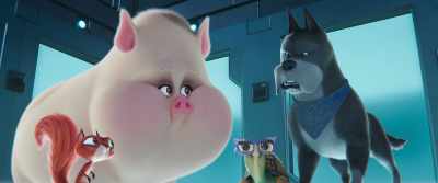 Has an emotional breakthrough, - DC League of Super Pets