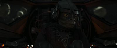Has anyone got eyes on the Mandalorian? - The Mandalorian