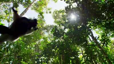 ..has it been more critical
to protect - Planet Earth: A Celebration