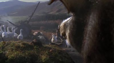 Has destroyed our work of the last year - Animal Farm