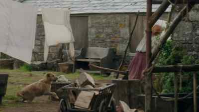 Has she settled? - Poldark