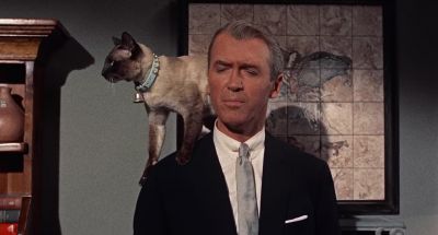 Hasn't this cat got anything better to do - Bell Book and Candle